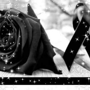 Meet your Posher, Marlin